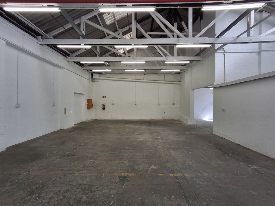To Let Commercial Property for Rent in Arcadia Eastern Cape
